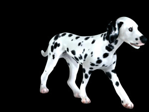 DOG Dalmatian CANINE Dog 3D 모델