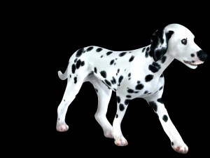 DOG Dalmatian CANINE Dog 3D Model