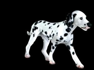 DOG Dalmatian CANINE Dog 3D 모델