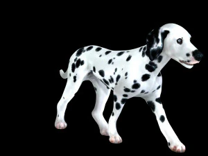DOG Dalmatian CANINE Dog 3D Model