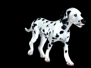 DOG Dalmatian CANINE Dog 3D 모델