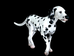 DOG Dalmatian CANINE Dog 3D 모델