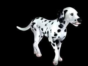 DOG Dalmatian CANINE Dog 3D Model