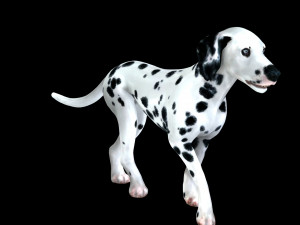 DOG Dalmatian CANINE Dog 3D 모델
