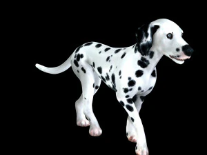DOG Dalmatian CANINE Dog 3D Model