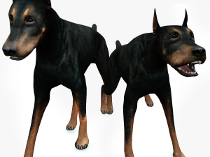 DOG Doberman 3D DOG 3D Model