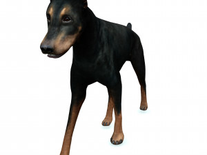DOG Doberman 3D DOG Model 3D