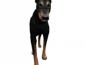 DOG Doberman 3D DOG Model 3D