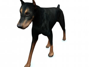 DOG Doberman 3D DOG Model 3D