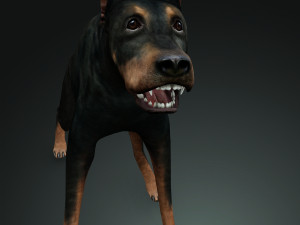 DOG Doberman 3D DOG Model 3D