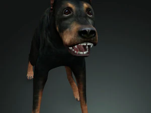 DOG Doberman 3D DOG 3D Model