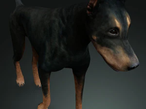 DOG Doberman 3D DOG 3D Model