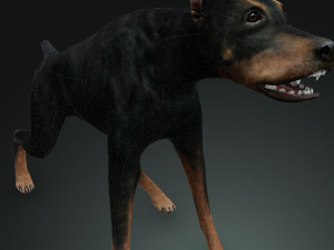 DOG Doberman 3D DOG Model 3D