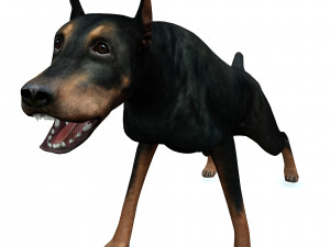 DOG Doberman 3D DOG Model 3D