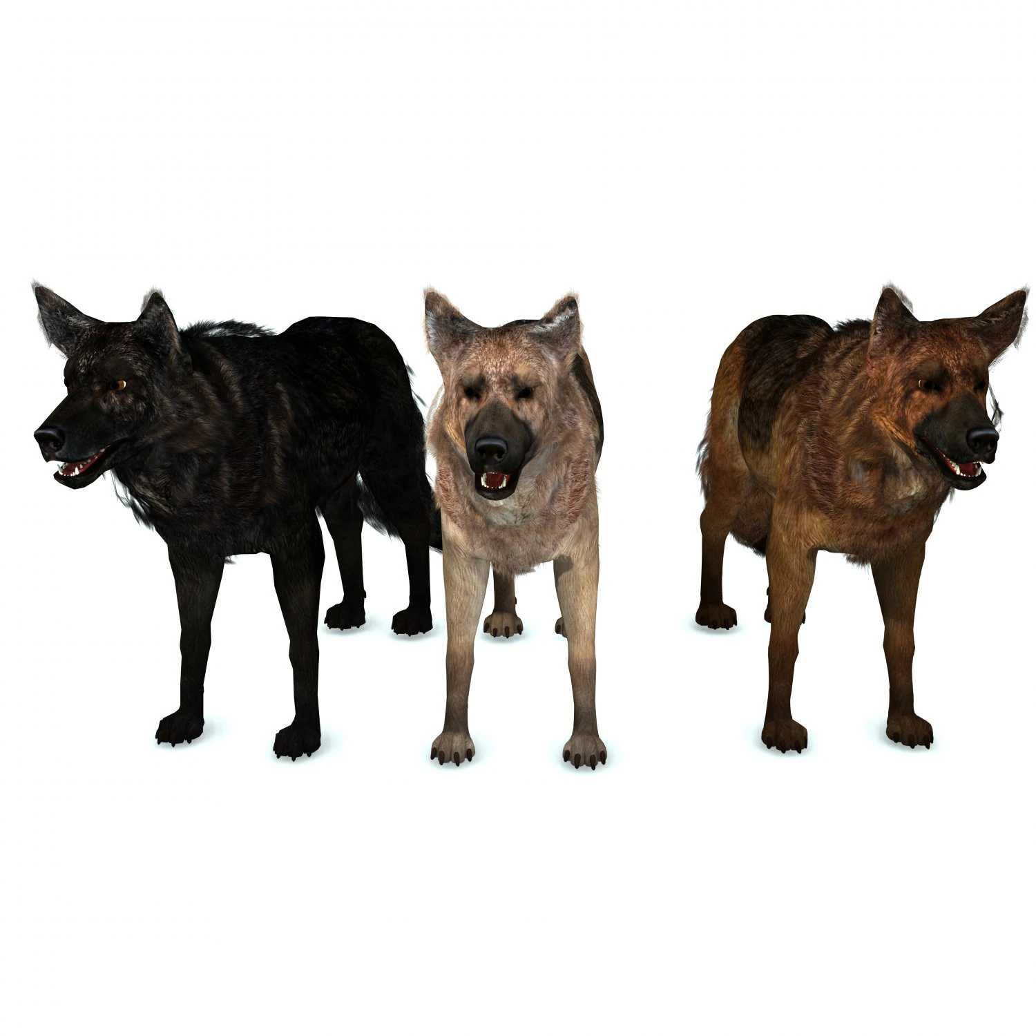 DOG German Shepherd DOG 3D Model .c4d .max .obj .3ds .fbx .stl .blend 