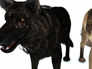 DOG German Shepherd DOG 3D Model