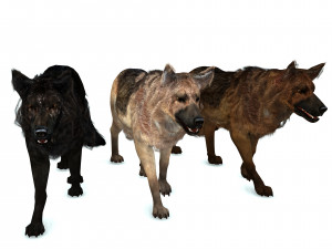 DOG German Shepherd DOG 3D Model