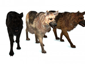 DOG German Shepherd DOG 3D Model