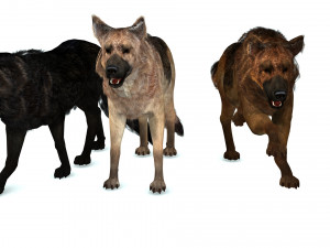 DOG German Shepherd DOG 3D Model