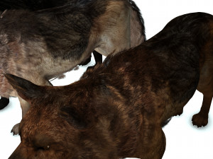 DOG German Shepherd DOG 3D Model