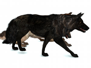 DOG German Shepherd DOG 3D Model