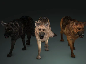 DOG German Shepherd DOG 3D Model