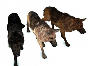DOG German Shepherd DOG 3D Model
