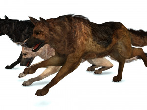 DOG German Shepherd DOG 3D Model