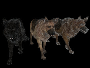 DOG German Shepherd DOG 3D Model