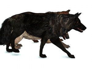 DOG German Shepherd DOG 3D Model