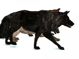 DOG German Shepherd DOG 3D Model