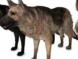 DOG German Shepherd DOG 3D Model