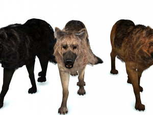 DOG German Shepherd DOG 3D Model