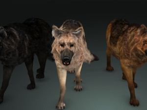 DOG German Shepherd DOG 3D Model