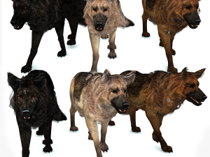DOG German Shepherd DOG 3D Model