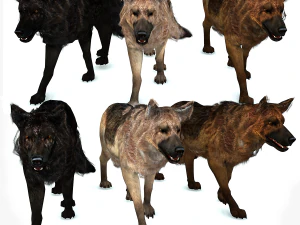 DOG German Shepherd DOG 3D Model