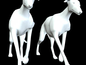 Greyhound DOG 2 DOG 3D Model