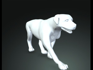 Rottweiler DOG Model 3D