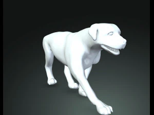 Rottweiler DOG 3D Model