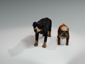 Rottweiler DOG Model 3D