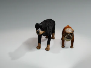 Rottweiler DOG 3D Model