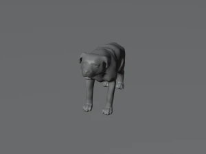 Rottweiler DOG 3D Model