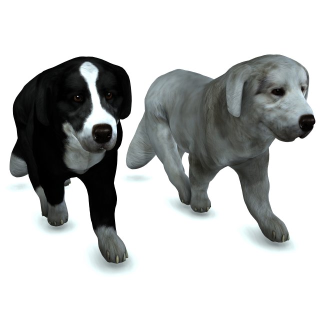 DON Sheepdog DOG CANINE 3D Модель .c4d .max .obj .3ds .fbx .stl .blend 