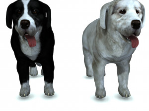 DON Sheepdog DOG CANINE 3D Модель
