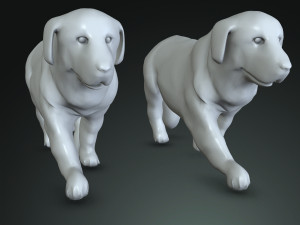 DON Sheepdog DOG CANINE 3D Модель