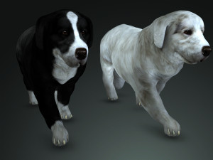 DON Sheepdog DOG CANINE 3D Модель