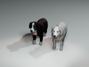 DON Sheepdog DOG CANINE 3D Модель