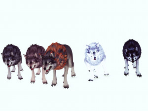 WOLVES PACK 5 characters ANIMATED 3D Модель