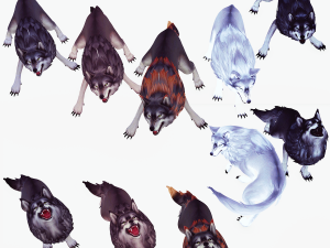 WOLVES PACK 5 characters ANIMATED 3D Модель