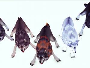 WOLVES PACK 5 characters ANIMATED 3D Model